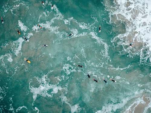 australia aerial view of body of water sea life